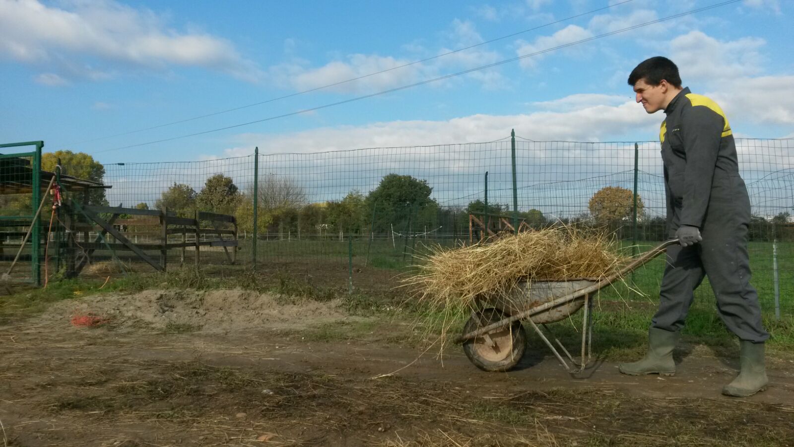SFA: Servizio Formazione all’Autonomia