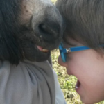 Disabilità e Fragilità