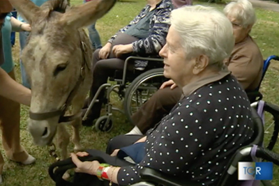 I nostri asinelli in missione al PAT -TGR